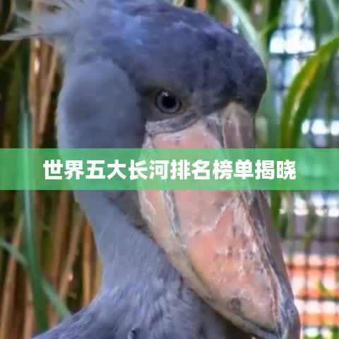 世界五大长河排名榜单揭晓