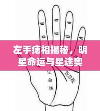 左手痣相揭秘,明星命运与星途奥秘探索