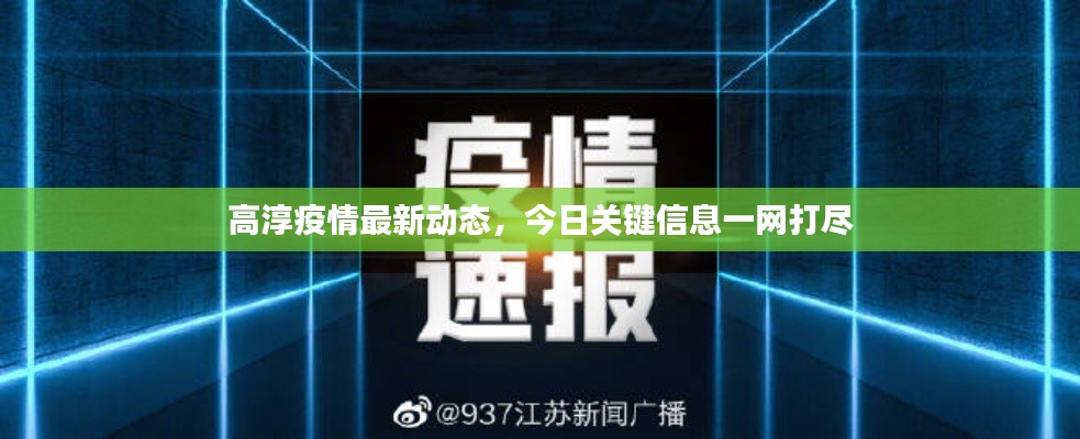 高淳疫情最新动态,今日关键信息一网打尽