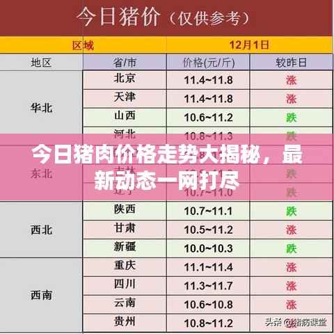 今日猪肉价格走势大揭秘,最新动态一网打尽