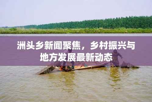 洲头乡新闻聚焦,乡村振兴与地方发展最新动态
