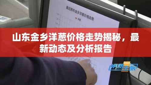 山东金乡洋葱价格走势揭秘,最新动态及分析报告