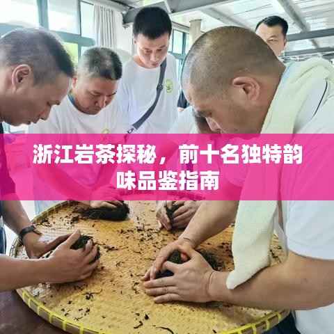 浙江岩茶探秘,前十名独特韵味品鉴指南